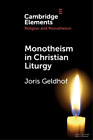 Joris Geldhof Monotheism in Christian Liturgy (Taschenbuch)