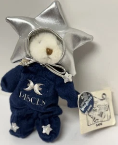 Vintage Ganz Wee Bear Village Plush Astrological Cancer Bear Zodiac Birthday HTF - Picture 1 of 6