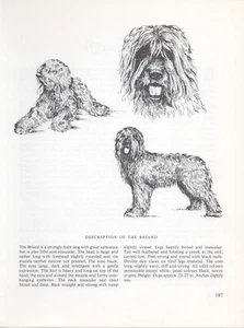 BRIARD VINTAGE 1963 PRINT SKETCH PAGE ARTIST BRIDGET OLERENSHAW - Picture 1 of 1