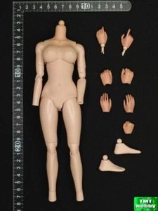 1:6 Scale BBK BBK017 Caribbean Pirate Sophia Female Captain - Body (NO HEAD) - Picture 1 of 2