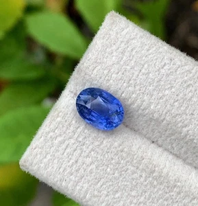 Natural Ceylon Cornflower Blue Sapphire Loose Oval Gemstone Certified 7.80 Ct - Picture 1 of 5