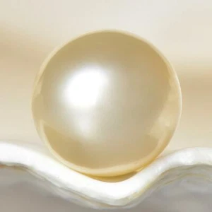 South Sea Pearl Champagne Round 11.71 mm NEW Papua New Guinea 2.23 g undrilled - Picture 1 of 7