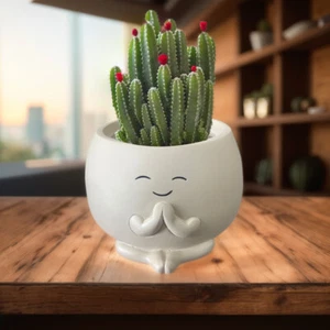 Cute Flower Pots Face Plant Pots with Drainage Hole Resin for Home Room Decor - Picture 1 of 9