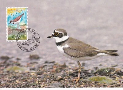 LIECHTENSTEIN 1989 FOUR FIRST DAY COVERS ONMAXI CARDS, WORLD WILDLIFE FUND - Image 1 of 4