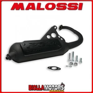 3216586 ESCAPE MALOSSI WILD LION YAMAHA BW'S NG 50 2T EURO 0-1 OMOLOGATA - - Imagen 1 de 5