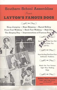 c 1940s FARBPLAKAT LAYTON'S BERÜHMTE BULL DOGS Trickhunde JACK RUSSELL CHIHUAHUA - Bild 1 von 1