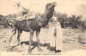 L408 Algeria scenes et types arab man with camel vintage postcard - Picture 1 of 2