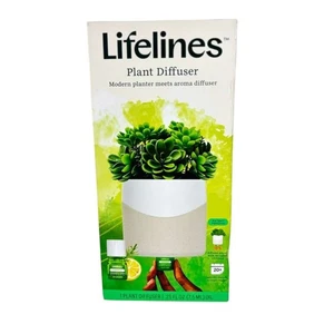 Lifelines wiederaufladbarer Kunstpflanze Aroma Diffusor 7,5" hoch im Topf Sukkulenten - Bild 1 von 8
