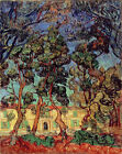 Oil Painting Vincent Van Gogh   Trees In The Garden Of Saint Paul Hospital Art