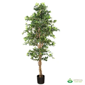 Artificial Fake Plants Ficus Bush Tree 1.8m - Picture 1 of 6