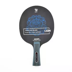 Raqueta de tenis de mesa profesional de fibra de carbono de mango largo hoja de ping-pong 1 pieza - Imagen 1 de 32