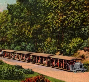 Postal de colección The Inlet Trail Train Cedar Point Lake Erie Ohio Sandusky c1933 - Imagen 1 de 3