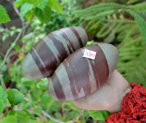 Lot of 2 Pcs Shiva Lingam Stones Small (Shiva Lingham Narmada River India) ~1130 - Picture 1 of 11