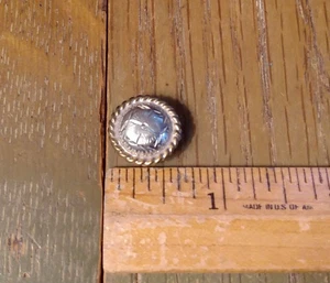 Riendas de cabecera vintage de plata y latón con borde de cuerda Chicago tornillo concho brida - Imagen 1 de 4