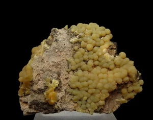 MIMETITE botryoidal & AESTHETHIC !!! GERMANY Schwarzwald Haus Baden Mine /pm235 - Picture 1 of 19