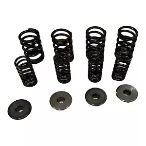 Kit de resorte de válvula Aprilia RSV Mille 1000R de fábrica OEM - Imagen 1 de 4