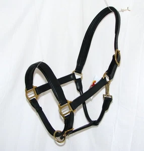 FSS Cuero Alemán POSH Clásico LATÓN DORADO Confort Acolchado Show COLLAR HALTER - Imagen 1 de 7