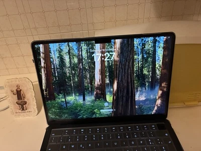 Apple MacBook Air M4 13'' - 16GB RAM - 256GB SSD Midnight COME NUOVO - Immagine 1 di 4