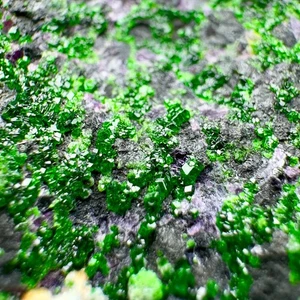 464 Gm, Raro Granato Uvarovite su Kämmererite Viola e Matrice Cromite Nera @AFG - Foto 1 di 16