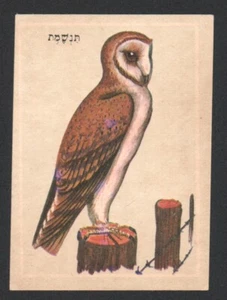 Tyto card From Israeli Animals Cards Set, By Tamar 1960's judica - Picture 1 of 2