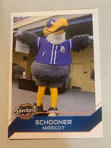 Mascot Schooner Card 2018 Biloxi Shuckers Team Card - Picture 1 of 1