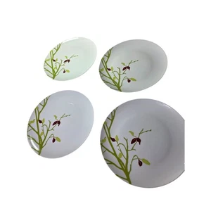 Rachael Ray Weiß Grün Jahreszeiten Wechselnde Blumen 10,5" Essteller 4er Set - Bild 1 von 6