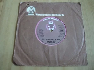 ANDREA TRUE CONNECTION - WHAT'S YOUR NAME,WHAT'S YOUR NUMBER (BUDDAH 7") - Foto 1 di 3