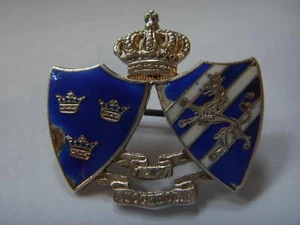 ANTIQUE STOCKHOLM SILVER & ENAMEL BROOCH DATED T6 1897 A/F - Picture 1 of 1