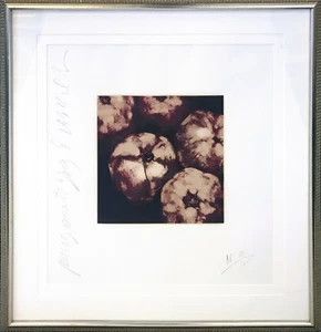 DONALD SULTAN "POMEGRANATES" 1994 | HAND SIGNED PRINT | FRAMED | MAKE AN OFFER - Picture 1 of 3