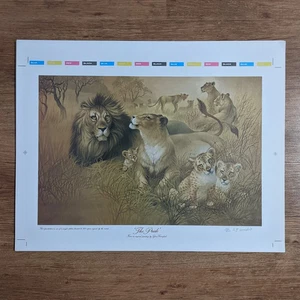 Vintage Signed Limited Edition Print African Safari Lions Big Cats Family uk - Picture 1 of 7