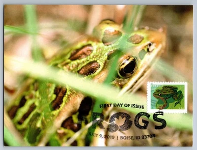 #5396 Northern Leopard Frog FDC Maxi Card w/Pictorial Cancel - Image 1 of 2