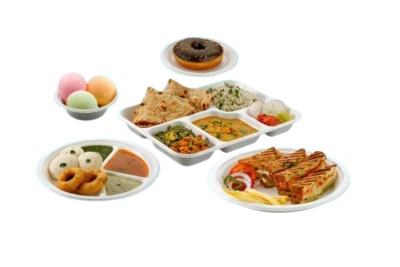 Disposable Bagasse Paper Plates Biodegradable for Birthday Wedding Party - White - Image 1 of 4