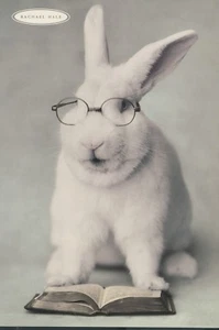 RACHAEL HALE-CUTE WHITE BUNNY IN GLASSES TROY-(SA689)4"X6" - Picture 1 of 1