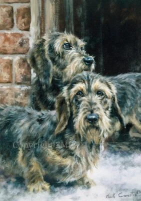 Wire Haired Dachshund Christmas cards pack of 10 by Mick Cawston C718X - Image 1 of 2