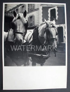 Paris: Rue Campagne-Première - Horses - Circa 1939 - Picture 1 of 2