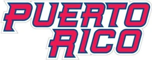 PUERTO RICO - PR STICKER-DECAL- BORICUA, LETRAS PR BORICUA, BORINQUEN. - Bild 1 von 1