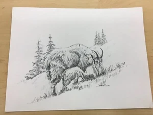James Jokerst Print Wildlife Mountain Goat Baby Kid 1983 - Bild 1 von 3