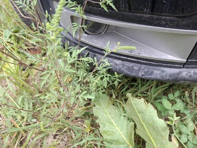 Used Driving Light fits: 2016 Ford Flex Fog-Driving without bezel Grade A - Image 1 of 4