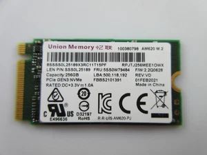 Ssd NVMe M.2 UNION MEMORY AM620 256GB Original - Picture 1 of 2