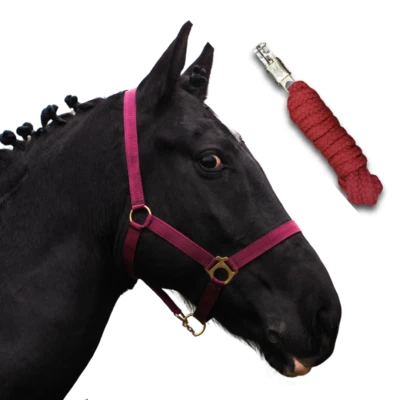 PFERDELINIS Halfter Set / Halfter mit Strick Warmblut / WB 2-Fach verstellbar Pferdehalfter