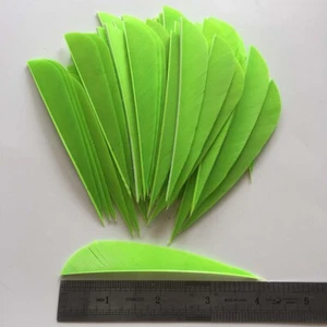 50PCS 4 inch Fluorescent Green Parabolic Fletches Fletching Feathers RW LW - Picture 1 of 6