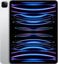 Apple iPad Pro 11" 4.Gen 256GB Silber Neuwertig OVP MNXG3FD/A M2 Händler mitMwSt