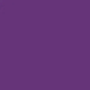 PLUM PURPLE BASECOAT - Picture 1 of 6