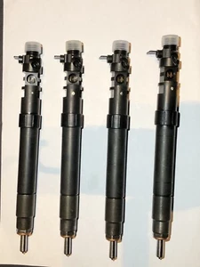 Injecteur EMBR00101D 9686191080 9M5Q9F593BA Citroen Fiat Ford Peugeot HDI-RH2 - Imagen 1 de 13