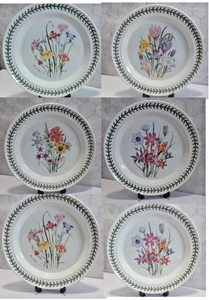 Juego de 6 Platos de Cena Portmeirion Damas Flor Jardín – 27 cm - Imagen 1 de 21