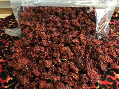 CUT ABOVE REAPER X 200WHOLE DRIED PEPPER PODS 33% hotter than standard Carolina Reaper XXX
