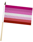 Grand drapeau à main Lesbian Pride avec poteau en bois (18" x 12")