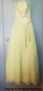 Tiffany Designs - Chartreuse Green Strapless Ball Gown Dress Size 6 - Picture 1 of 7