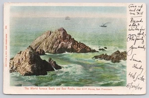 Robben und Robbenfelsen in der Nähe von Cliff House San Francisco Segelboot Schiff 1904 Postkarte - Bild 1 von 2