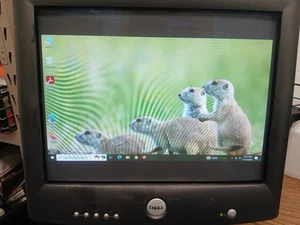 Dell P793 17" Flat Screen Display CRT Monitor 1600x1200 04D025 VGA w/ Stand - Picture 1 of 15